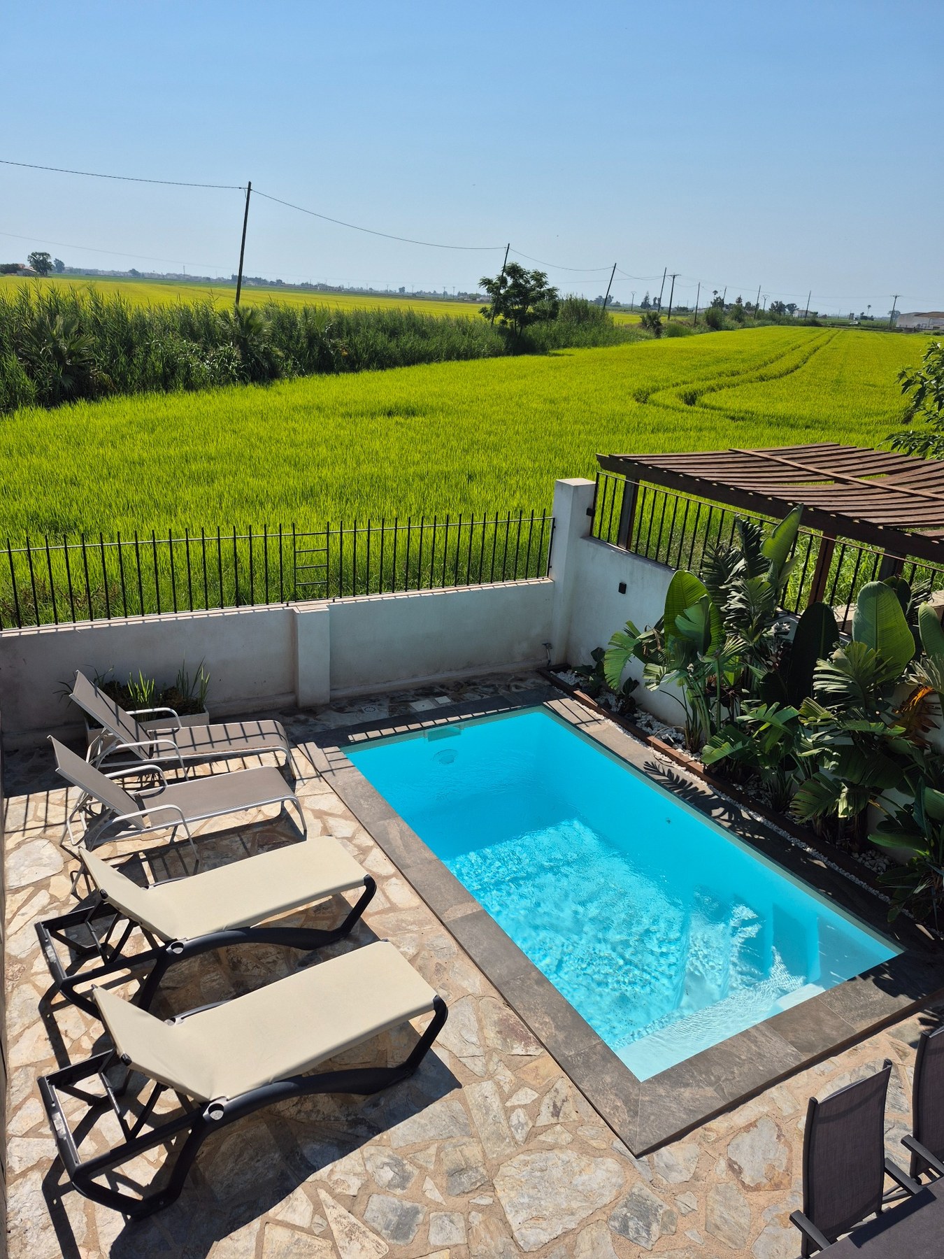 Piscina salina privada de Casa DeltaNatura junto a los arrozales del Delta del Ebro